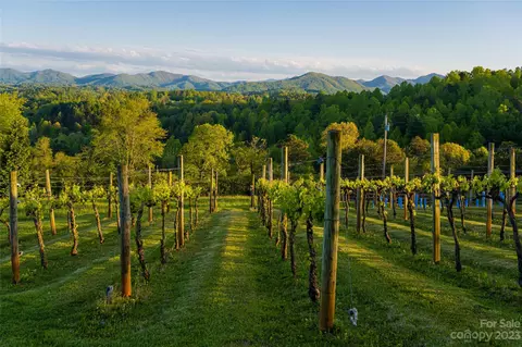 Hallaran Drive, Marshall, NC 28753 photo 3