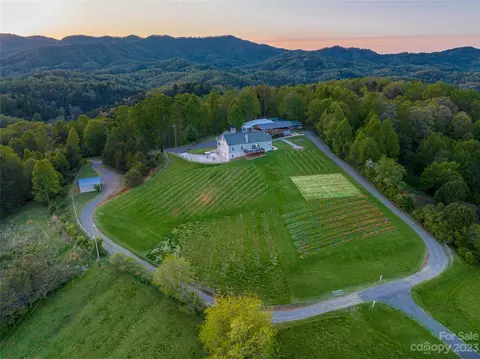 Hallaran Drive, Marshall, NC 28753 photo 29