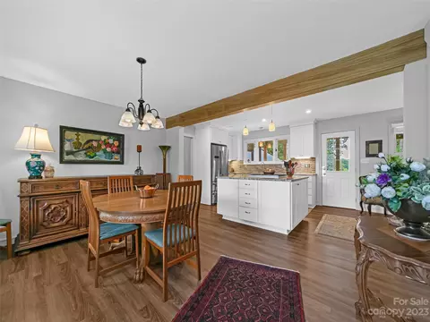170 Probart St, Brevard, NC 28712 photo 20