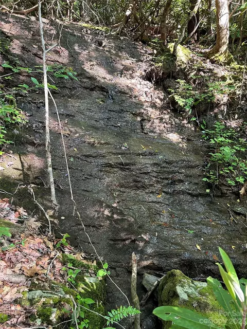 0 Wheat Field Rd, Franklin, NC 28734