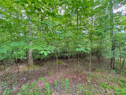 Otter Court, Seven Devils, NC 28605 photo 11