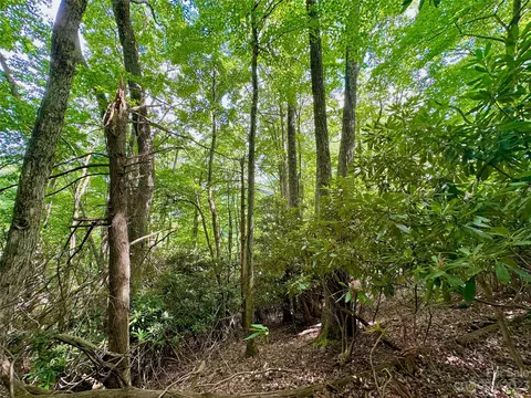Otter Court, Seven Devils, NC 28605 photo 13