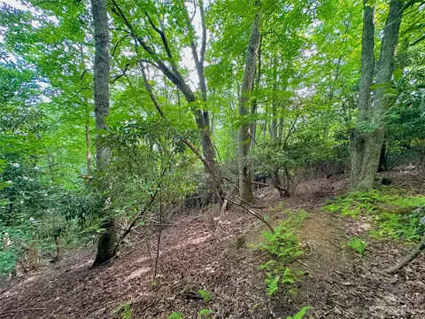 Otter Court, Seven Devils, NC 28605 photo 12