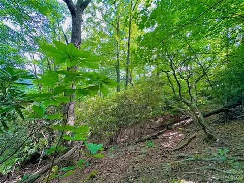 Otter Court, Seven Devils, NC 28605 photo 14