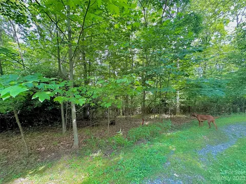 Otter Court, Seven Devils, NC 28605 photo 10