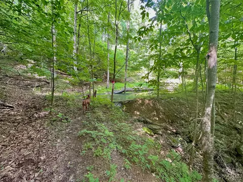 Otter Court, Seven Devils, NC 28605 photo 15