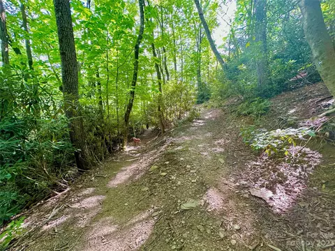 Otter Court, Seven Devils, NC 28605 photo 16