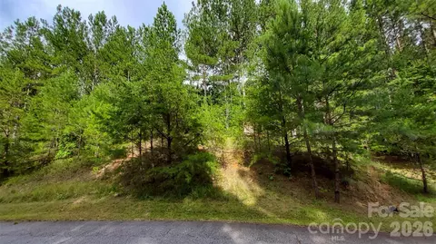 0 Sunset 12 Dr #12, Mill Spring, NC 28756 photo 17