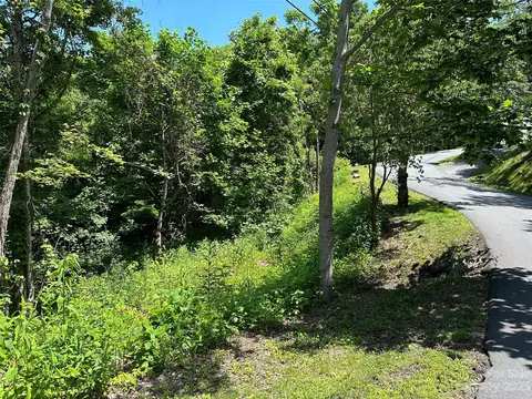 00 Presidential 29 Dr #29, Waynesville, NC 28786