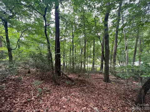 999 Silver Creek Rd, Mill Spring, NC 28756 photo 16
