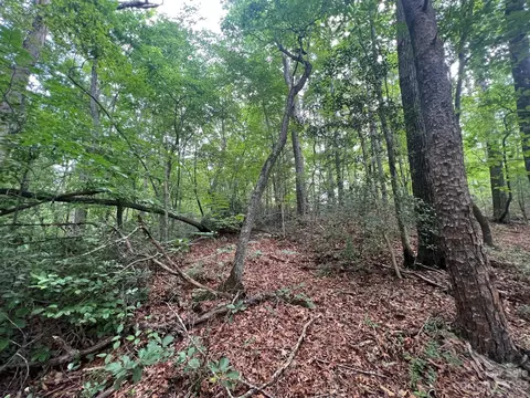 999 Silver Creek Rd, Mill Spring, NC 28756 photo 20