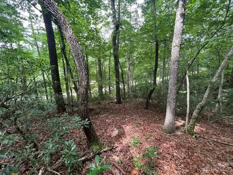 999 Silver Creek Rd, Mill Spring, NC 28756 photo 15