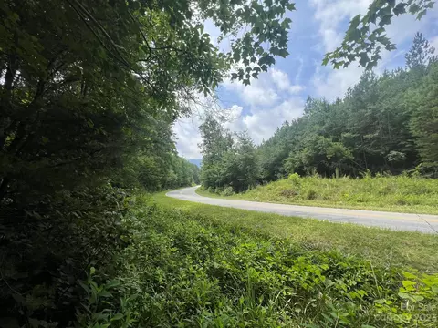 999 Silver Creek Rd, Mill Spring, NC 28756 photo 22