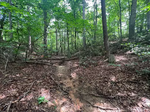 999 Silver Creek Rd, Mill Spring, NC 28756 photo 9