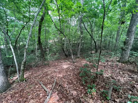 999 Silver Creek Rd, Mill Spring, NC 28756 photo 14