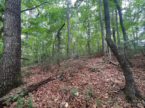 999 Silver Creek Rd, Mill Spring, NC 28756 photo 19