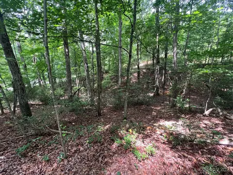 999 Silver Creek Rd, Mill Spring, NC 28756 photo 13