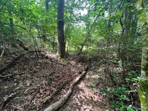 999 Silver Creek Rd, Mill Spring, NC 28756 photo 8