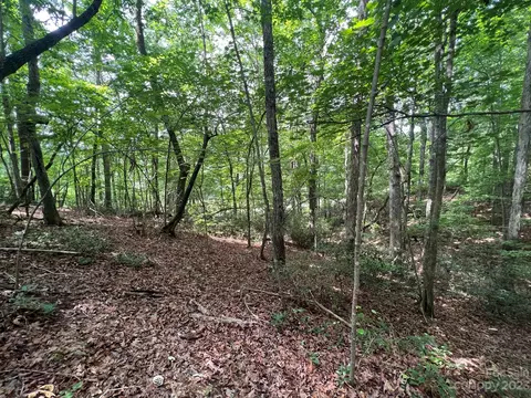 999 Silver Creek Rd, Mill Spring, NC 28756 photo 12