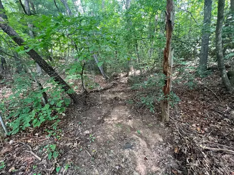 999 Silver Creek Rd, Mill Spring, NC 28756 photo 7