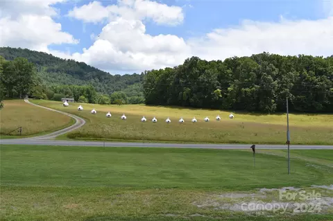 1164 Mudcut Loop, Marion, NC 28752 photo 19