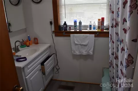 1164 Mudcut Loop, Marion, NC 28752 photo 13