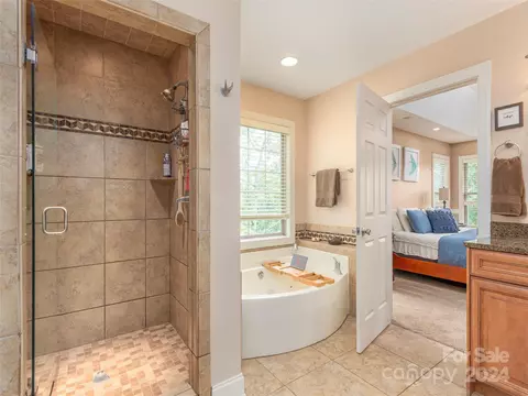 Bath - 61 Ledgestone Dr, Fairview, NC 28730 photo 4 of 6