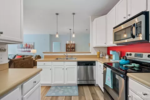 17249 Doe Valley Ct, Cornelius, NC 28031 photo 8