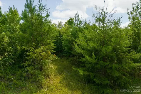 0 Bill Collins Rd, Tryon, NC 28782 photo 6