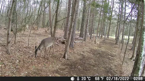 3613 Austin Rd, Monroe, NC 28112 photo 46