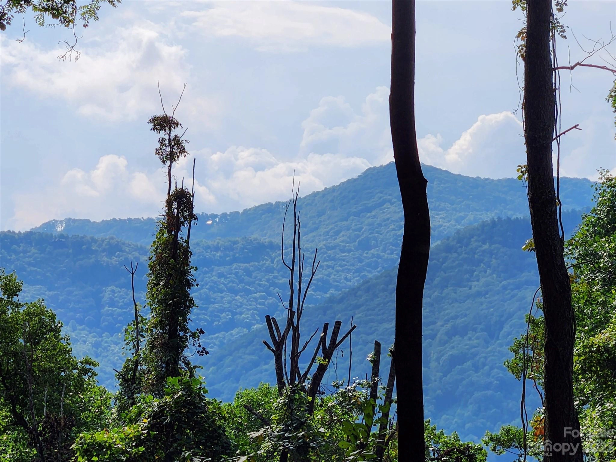 00 Havenwood 29 Dr Unit 29  