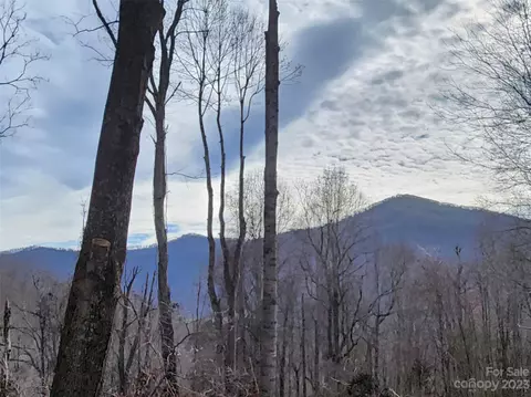 00 Havenwood 29 Dr #29, Maggie Valley, NC 28751