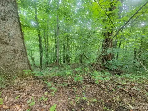 Lt 14 Sidewinder Road, Green Mountain, NC 28740