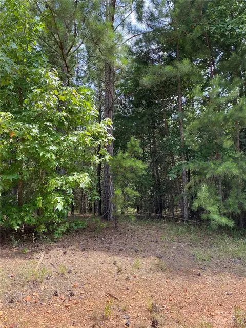 0 Bethel Boat Landing Rd, Lancaster, SC 29720