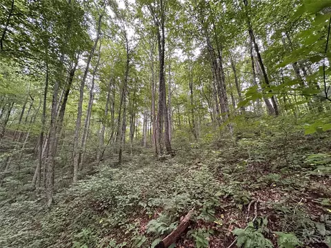 99999 Little Bee Ln, Swannanoa, NC 28778