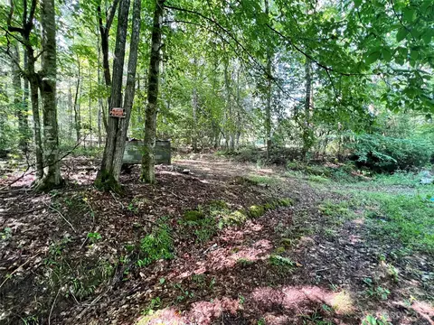 14 Paradise Cove Rd, Penrose, NC 28766