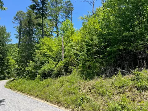 24 Round Mountain Road #24, Brevard, NC 28712
