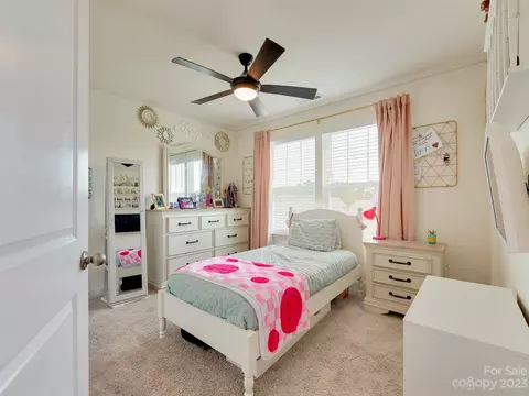 577 Red Wolf Ln, Clover, SC 29710 photo 25