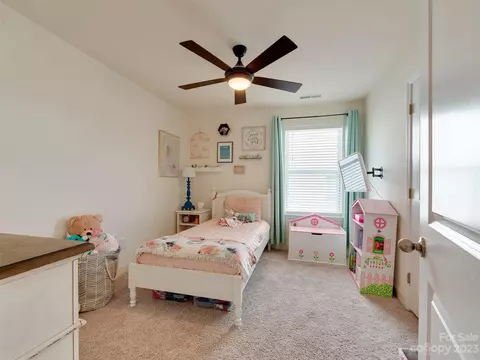 577 Red Wolf Ln, Clover, SC 29710 photo 24