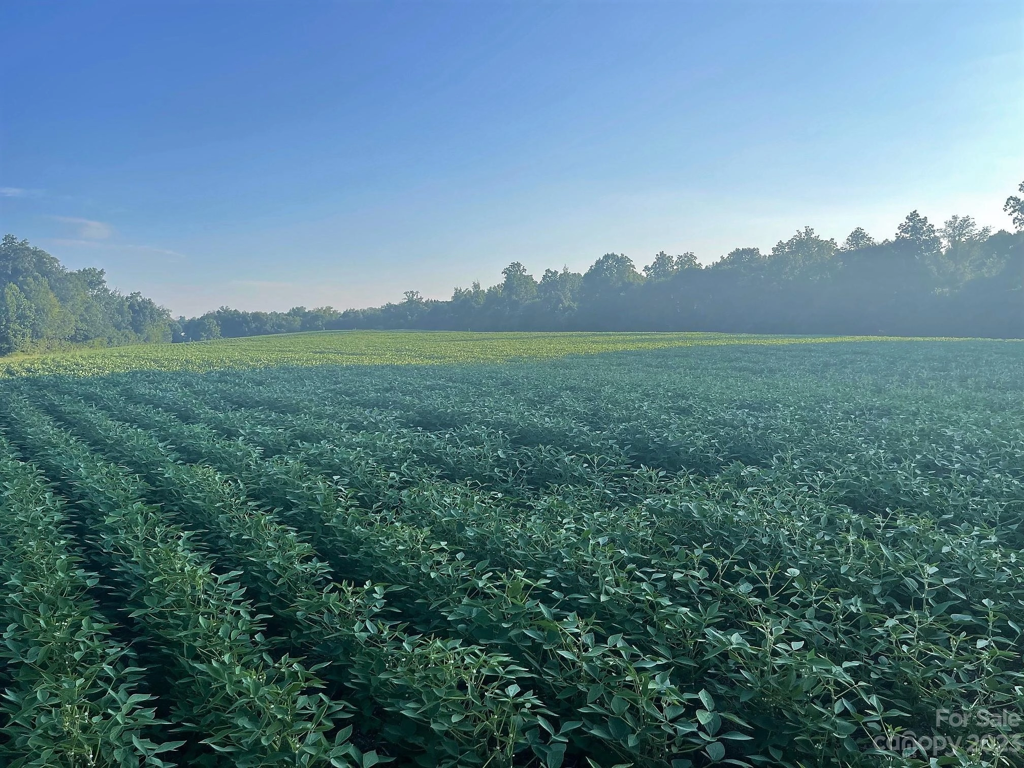 2 3rd Creek Church Rd