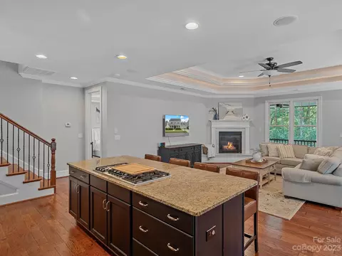 319 Olmstead St, Fort Mill, SC 29708 photo 13