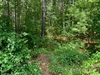0 White Stone Dr #4, Bostic, NC 28018