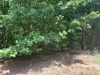 0 White Stone Dr #10, Bostic, NC 28018 photo 8
