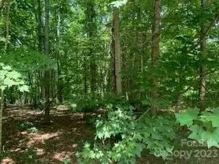 0 White Stone Dr #10, Bostic, NC 28018 photo 10