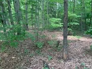 0 White Stone Dr #10, Bostic, NC 28018 photo 5