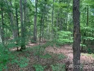 0 White Stone Dr #10, Bostic, NC 28018 photo 2