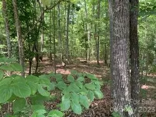 0 White Stone Dr #10, Bostic, NC 28018 photo 3