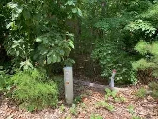 0 White Stone Dr #10, Bostic, NC 28018 photo 14