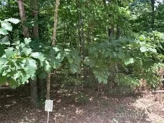0 White Stone Dr #10, Bostic, NC 28018 photo 7
