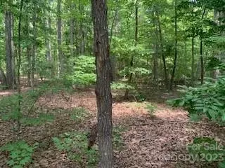 0 White Stone Dr #10, Bostic, NC 28018 photo 18